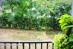 Meadows @ Peirce (D26), Condominium #112393282